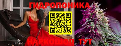 метадон Можга
